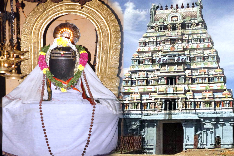 அருள்மிகு காளத்தி நாதர் ஆலயம்!